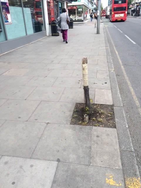 Tree Stump, Uxbridge Road, Before